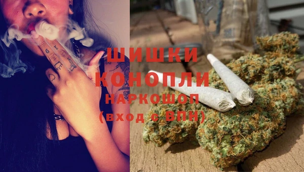 индика Арсеньев