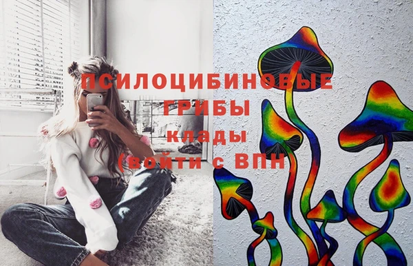 соль курить ск Алексеевка
