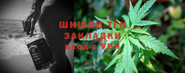 индика Арсеньев