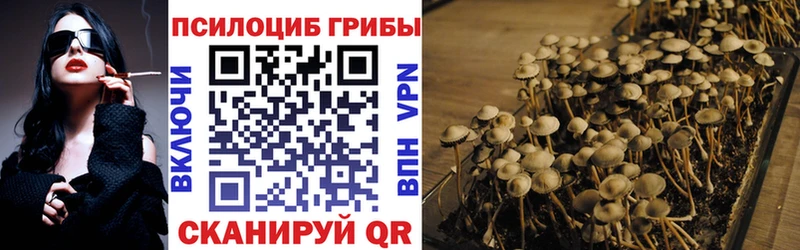 Галлюциногенные грибы Magic Shrooms  Богучар 